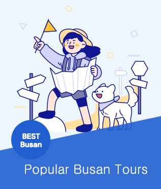 Popular Busan Tours