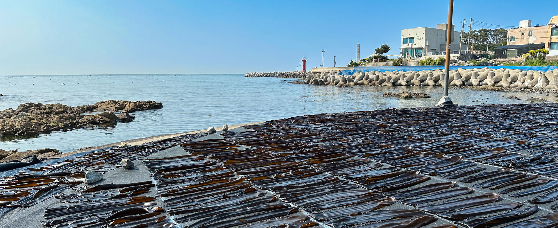 Experience the Real Busan Sea at Gongsu Fishing Village