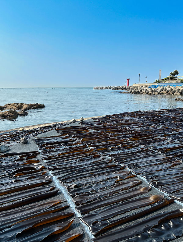 Experience the Real Busan Sea at Gongsu Fishing Village