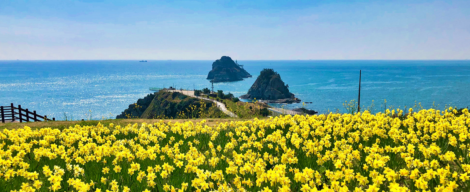 Picture-Perfect Places in Busan You Can’t Miss Right Now