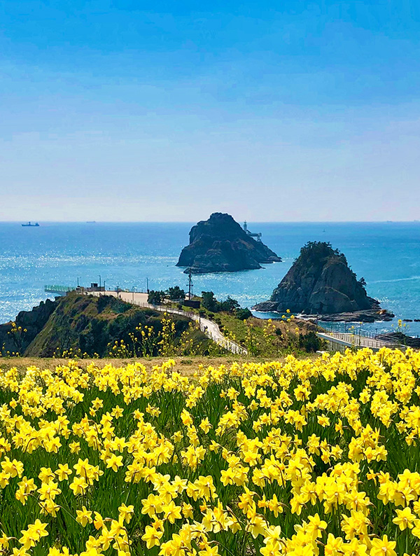 Picture-Perfect Places in Busan You Can’t Miss Right Now