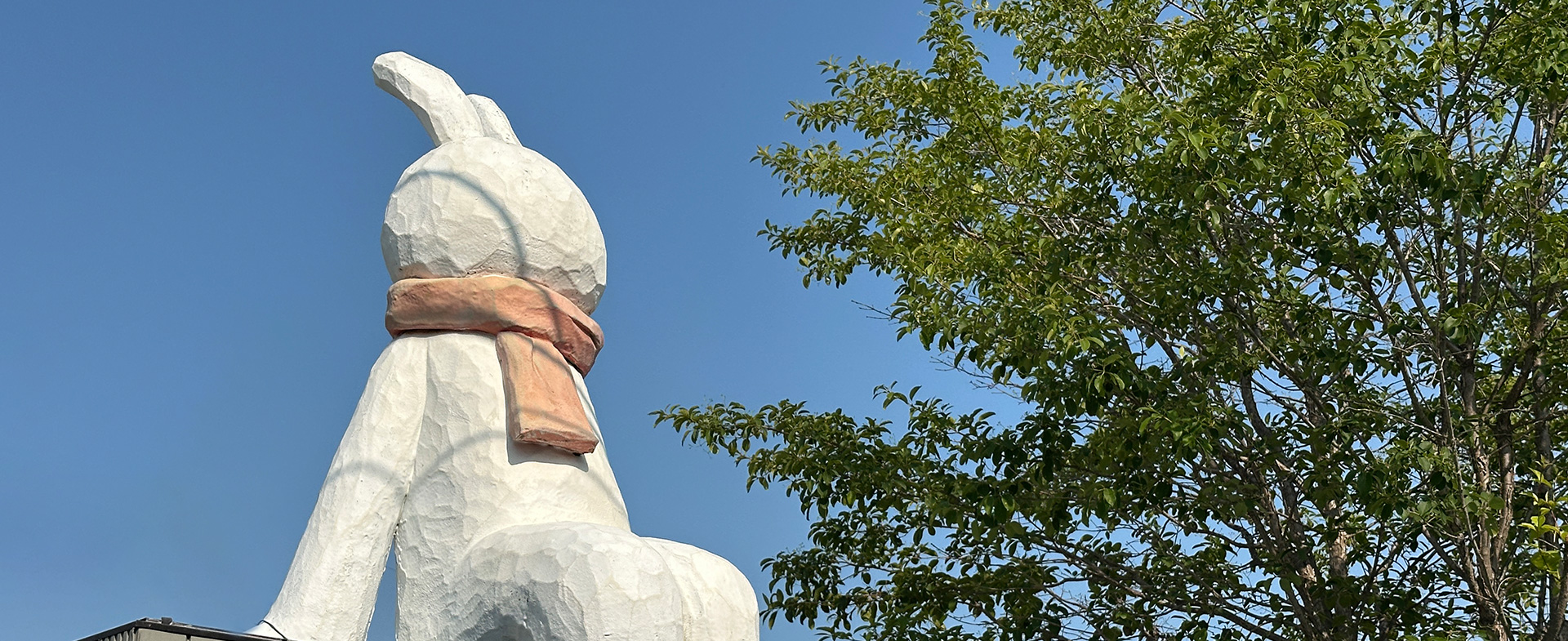 골목마다 예술이 피어나는 마을, 기장 대룡마을