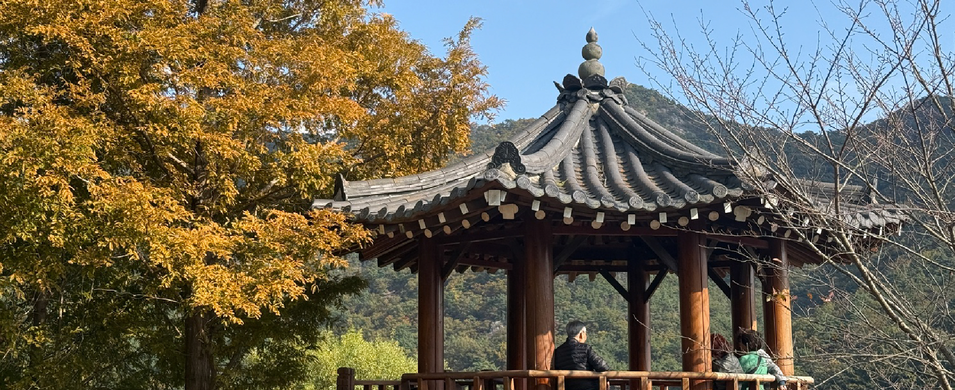 釜山で楽しむ秋、おすすめの水辺散歩名所
