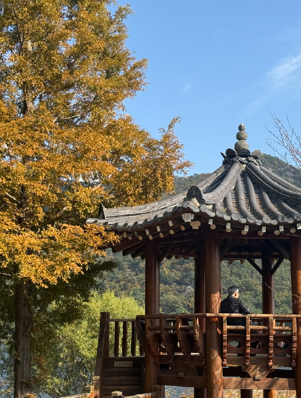 釜山で楽しむ秋、おすすめの水辺散歩名所

