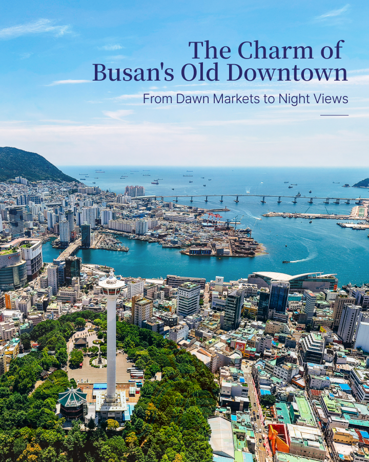 A Guide to Busan’s Historic Downtown :  Nampo-dong & Jagalchi Route
