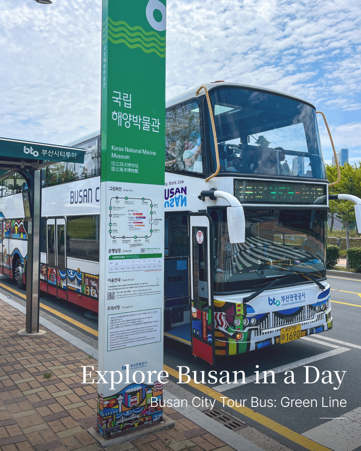Busan City Tour Bus: Green Line— A Ride to Explore Busan in Just One Day!
