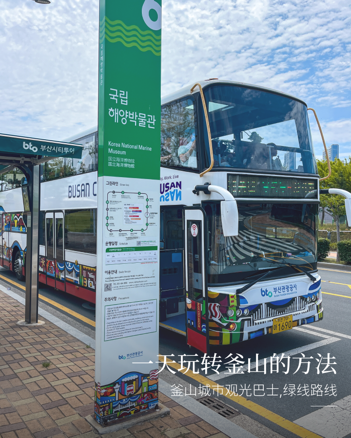 釜山城市观光巴士绿线路线！一天玩转釜山的方法！