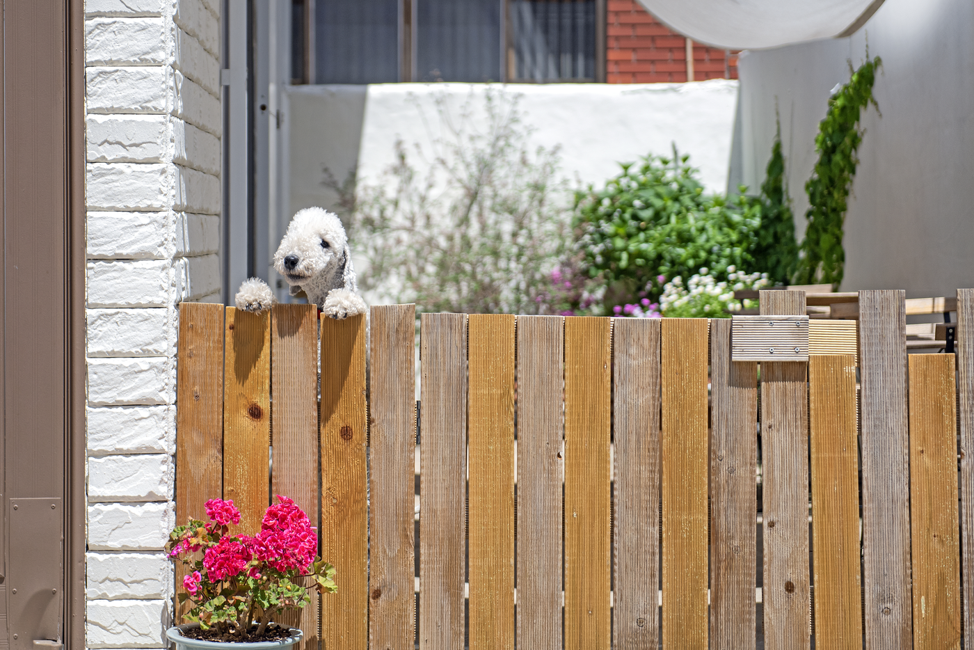 망리단길썸네일