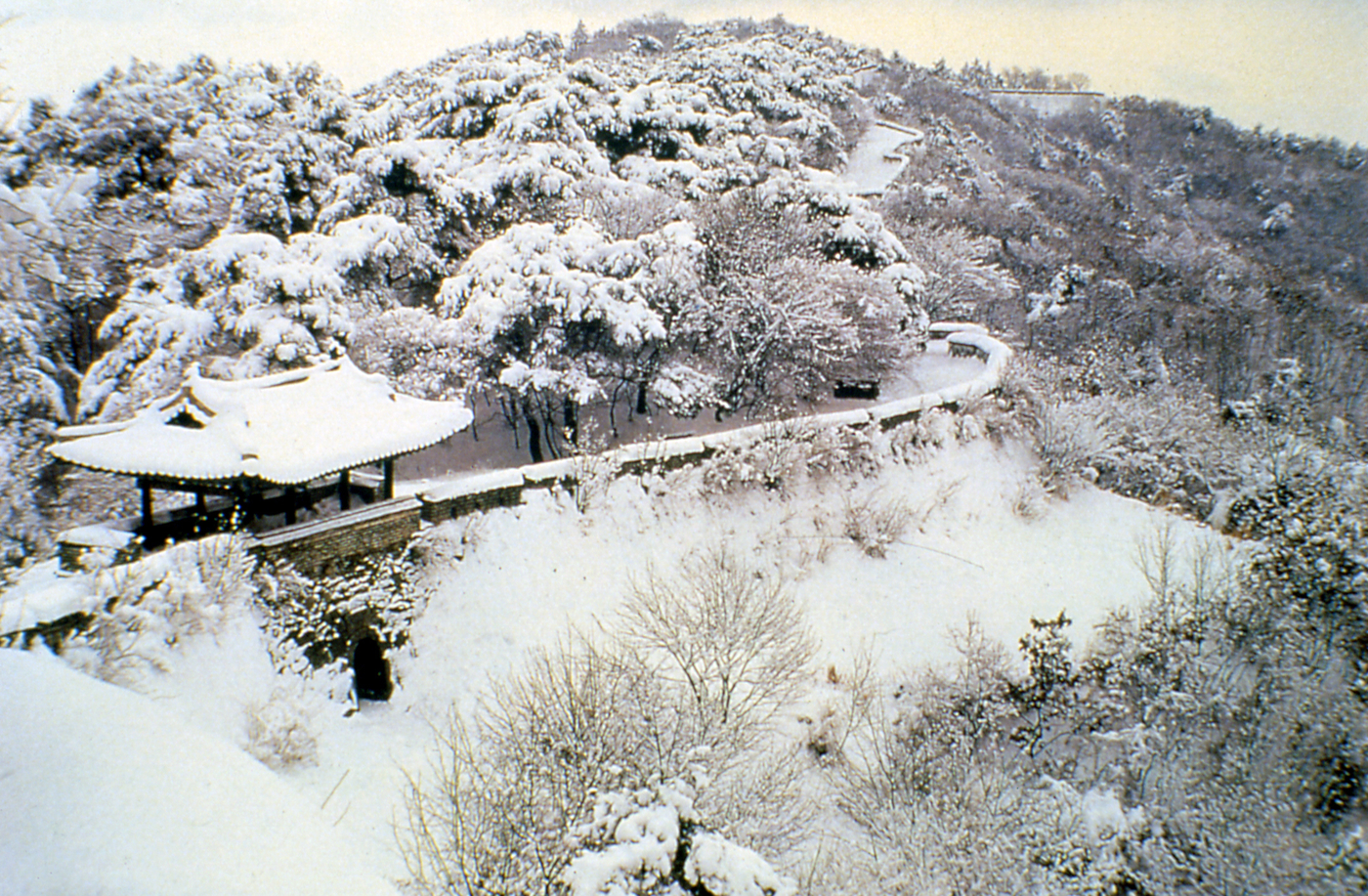 금정산 겨울썸네일