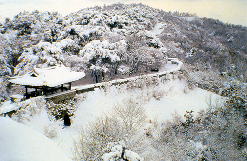 금정산 겨울썸네일