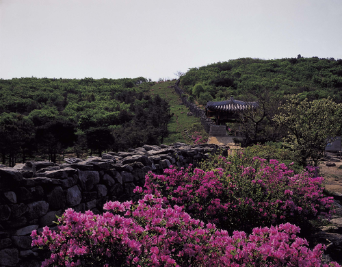 금정산 북문의 봄썸네일