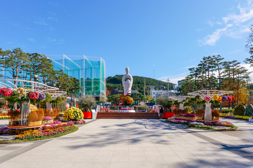 평화공원 국화축제-11썸네일