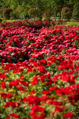 해운대수목원_7