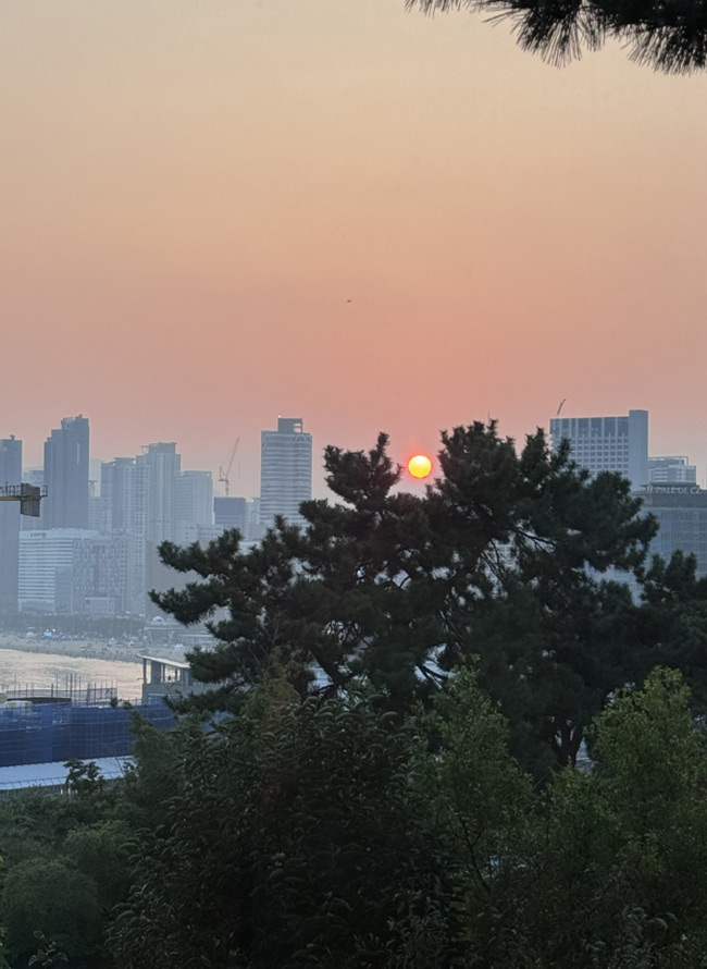 부산이 가진 따뜻함 사진 1
