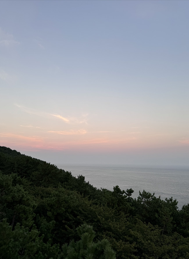 부산이 가진 따뜻함 사진 2