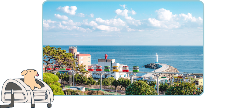 Haeundae Blueline Park Beach Train & Sky Capsule