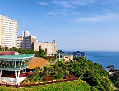 Experience the colorful eastern sea and the quiet southern sea on a trip to Busan