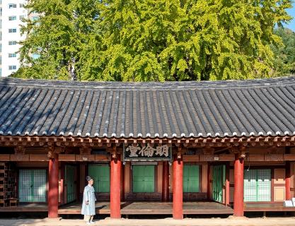 Listen to Confucius’ and Mencius’ teachings at Dongnaehyanggyo and Gijanghyanggyo Local Confucian Schools