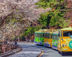 春风荡漾的3天2夜釜山岛屿旅行