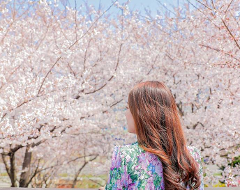 尋找三樂生態公園的魅力