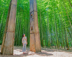 竹林の間から清風が吹いてくる春！