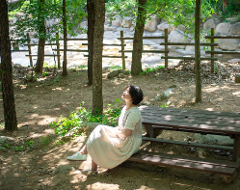 Rediscovering the Park in Downtown Busan