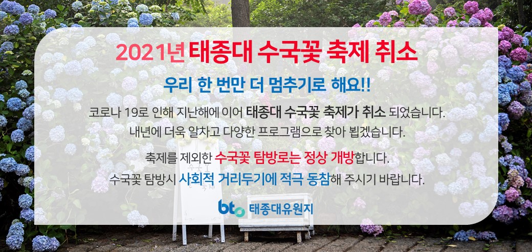 2021년 태종대 수국꽃축제 취소 안내