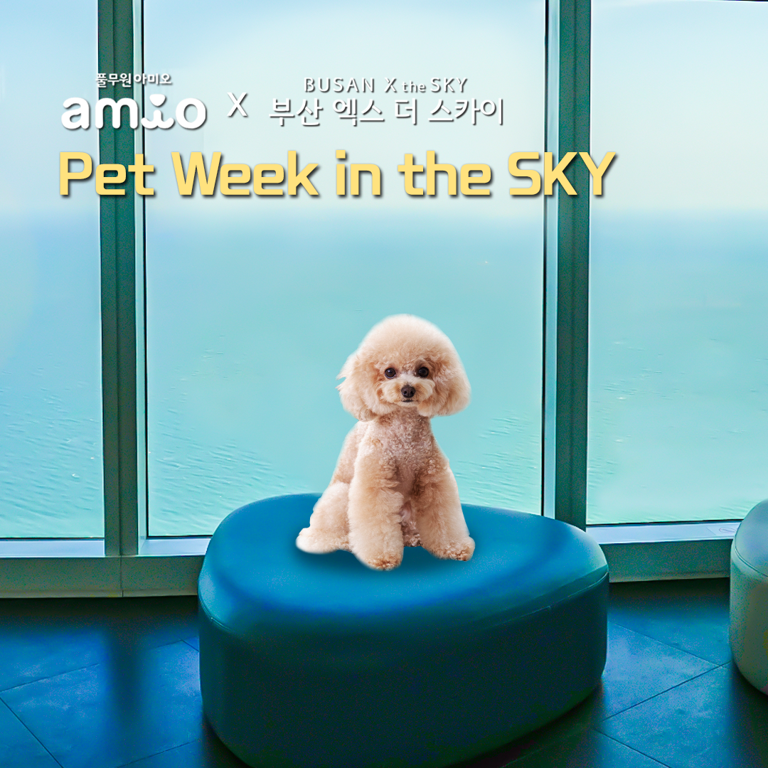 [풀무원 아미오 X 부산엑스더스카이 Pet Week in the SKY] 브랜드 컬래버레이션 이벤트 안내 