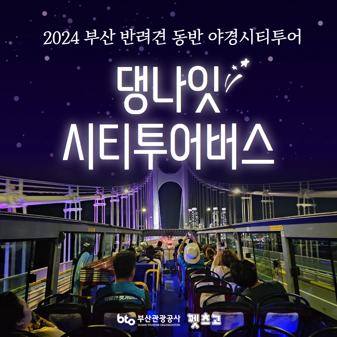 2024 부산 반려견 동반 야경시티투어 [댕나잇 시티투어버스] 운영 및 예약 안내