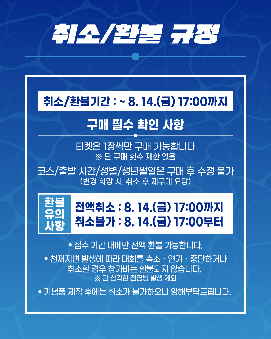 2026 부산 나이트 워크 42K
