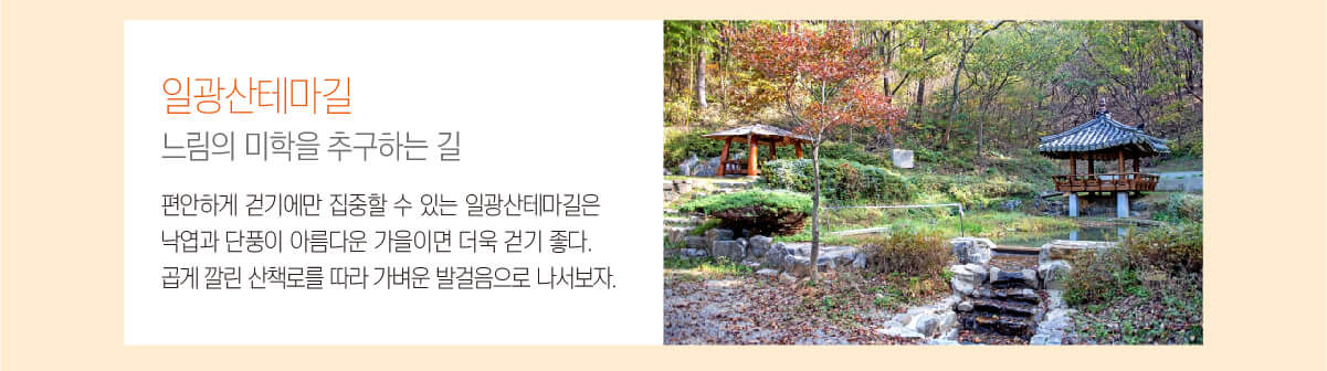 일광산테마길 느림의 미학을 추구하는 길 편안하게 걷기에만 집중할 수 있는 일광산테마길은 낙엽과 단풍이 아름다운 가을이면 더욱 걷기 좋다. 곱게 깔린 산책로를 따라 가벼운 발걸음으로 나서보자.