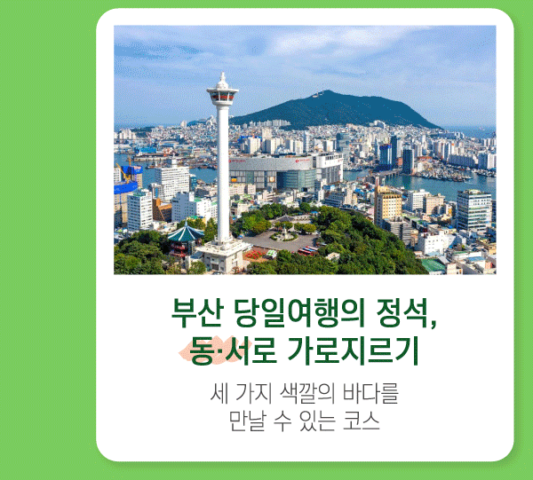 부산 당일여행의 정석, 동.서로 가로지르기. 세 가지 색깔의 바다를 만날 수 있는 코스