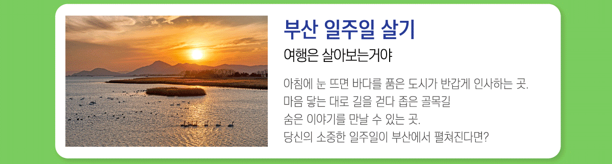 부산 일주일 살기 여행은 살아보는거야