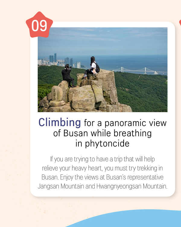 Climbing for a panoramic view of Busan while breathing in phytoncide