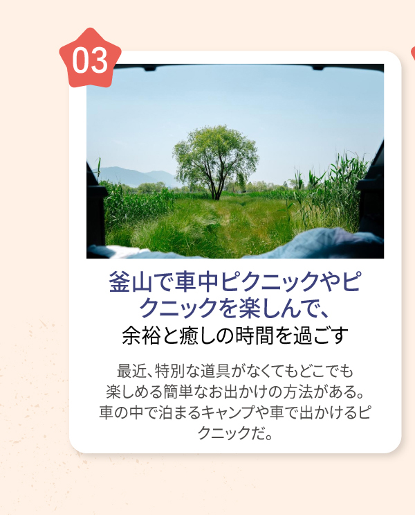 釜山で車中ピクニックやピクニックを楽しんで、余裕と癒しの時間を過ごす