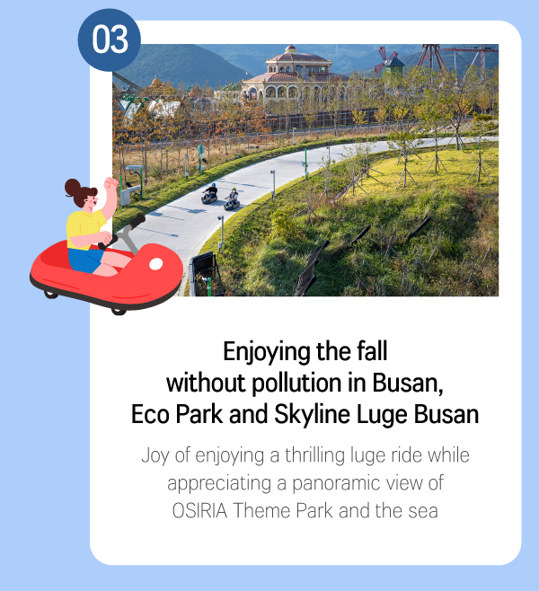 Enjoying the fall without pollution in Busan, Eco Park and Skyline Luge Busan