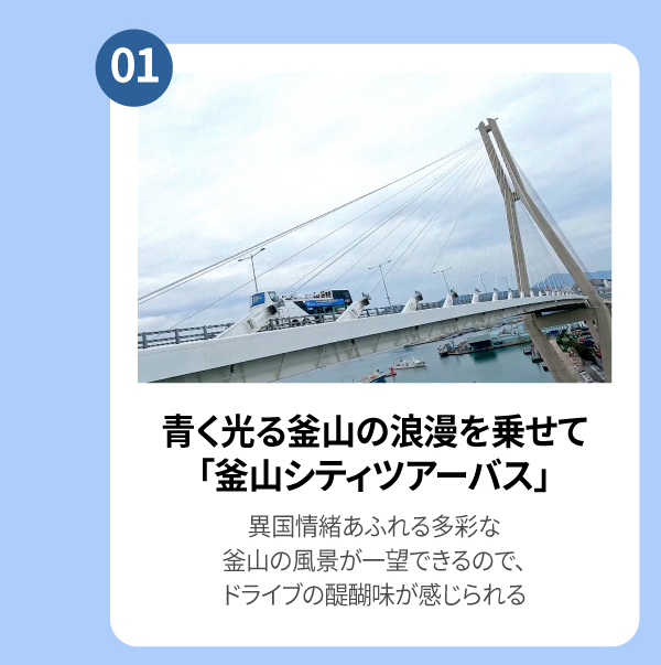 青く光る釜山の浪漫を乗せて, 釜山シティツアーバス