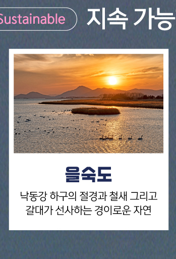 을숙도, 낙동강 하구의 절경과 철새 그리고 갈대가 선사하는 경이로운 자연