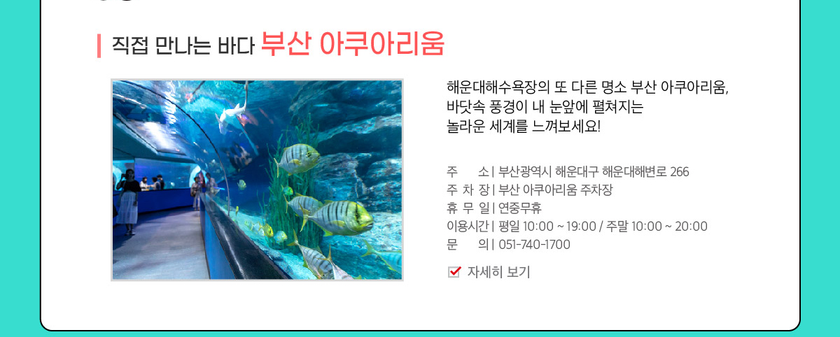 [직접 만나는 바다 부산 아쿠아리움]