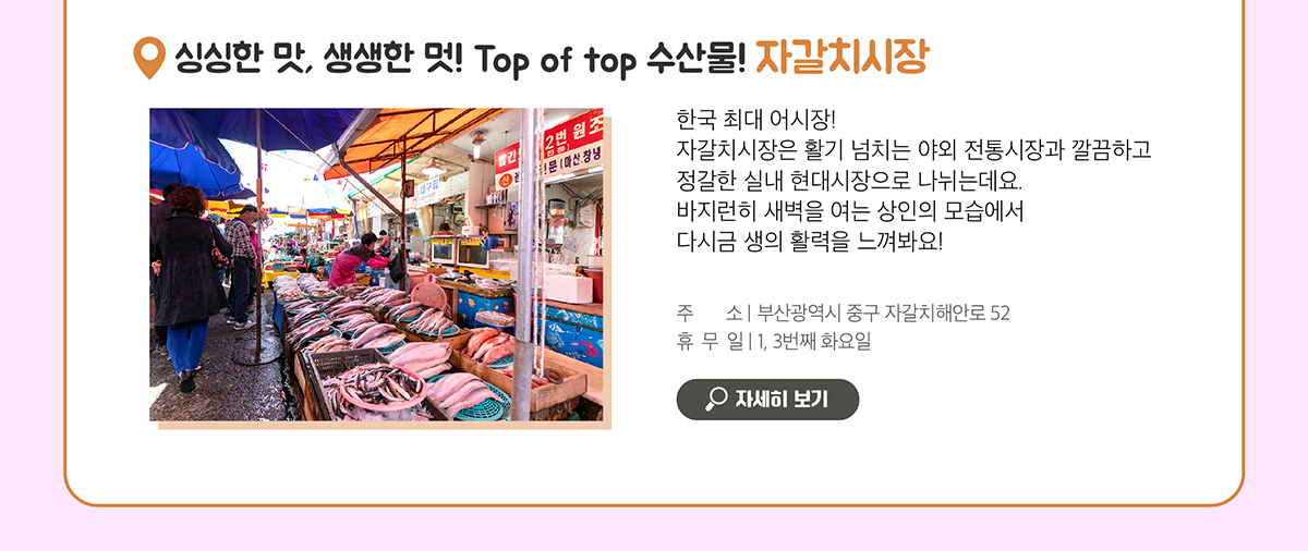 싱싱한 맛, 생생한 멋! Top of 수산물! 자갈치시장 