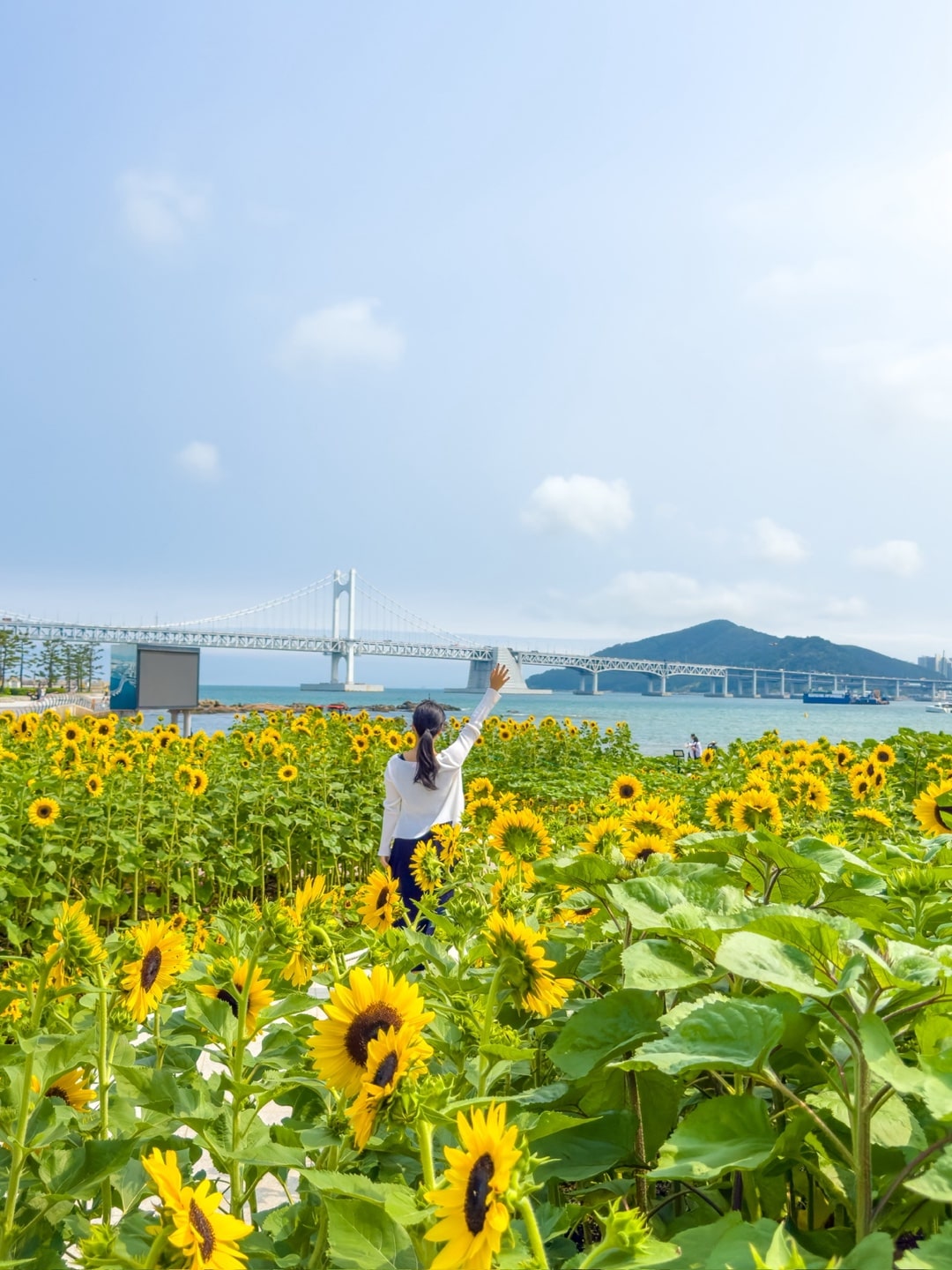 비짓부산 크리에이터 __lleve(레브) 사진