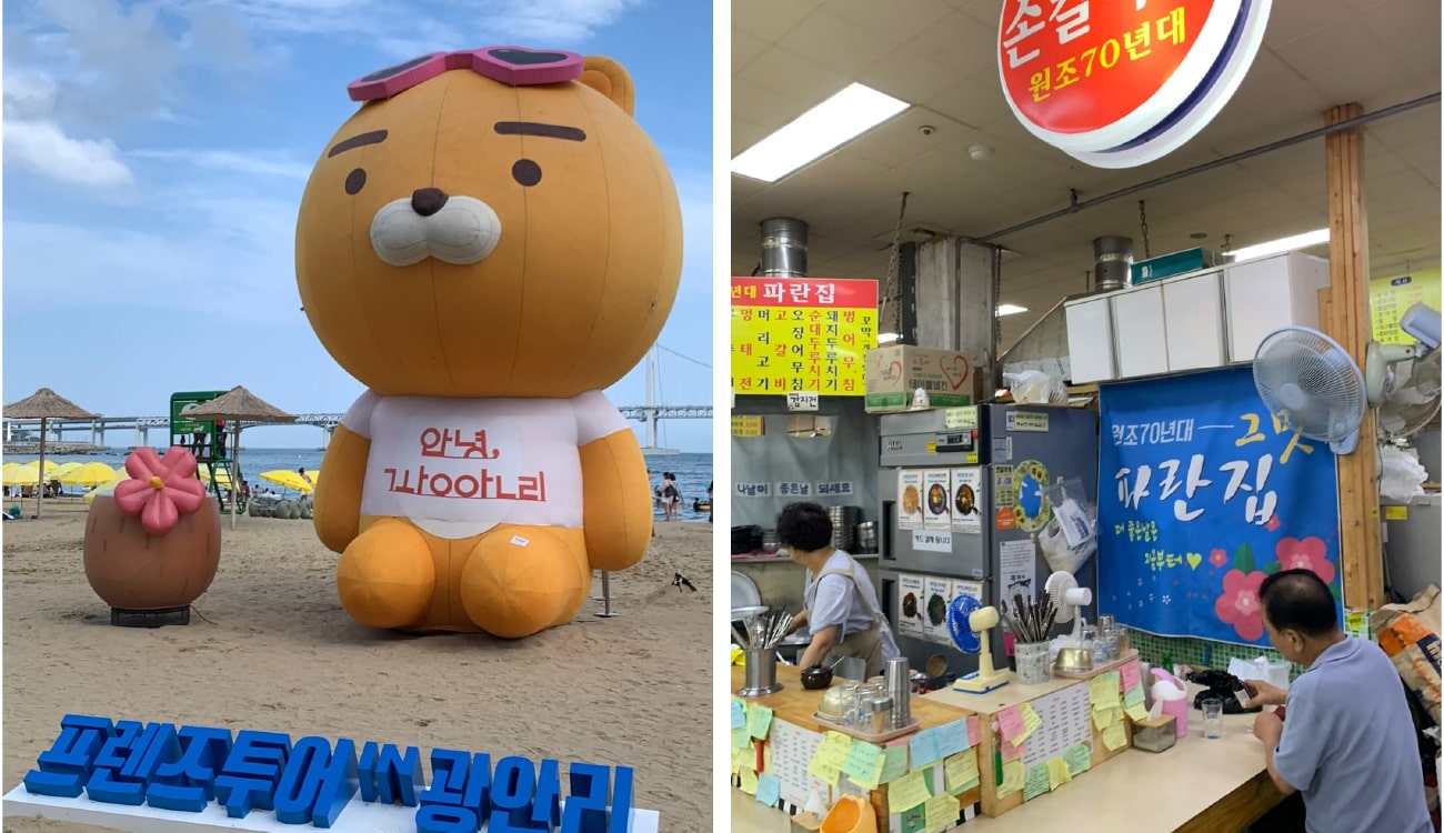 클레어5&6