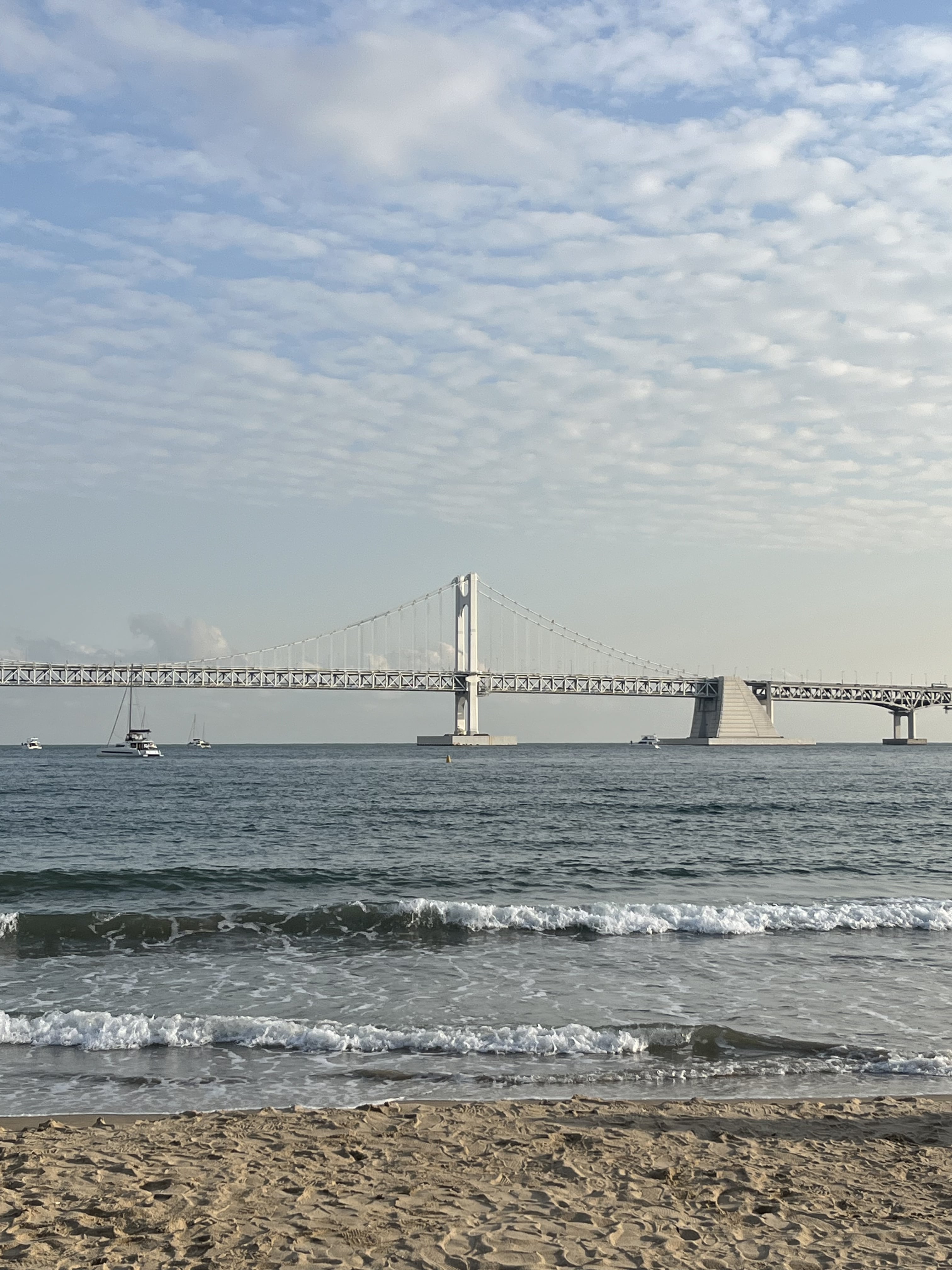 “장오월아웃트로1”