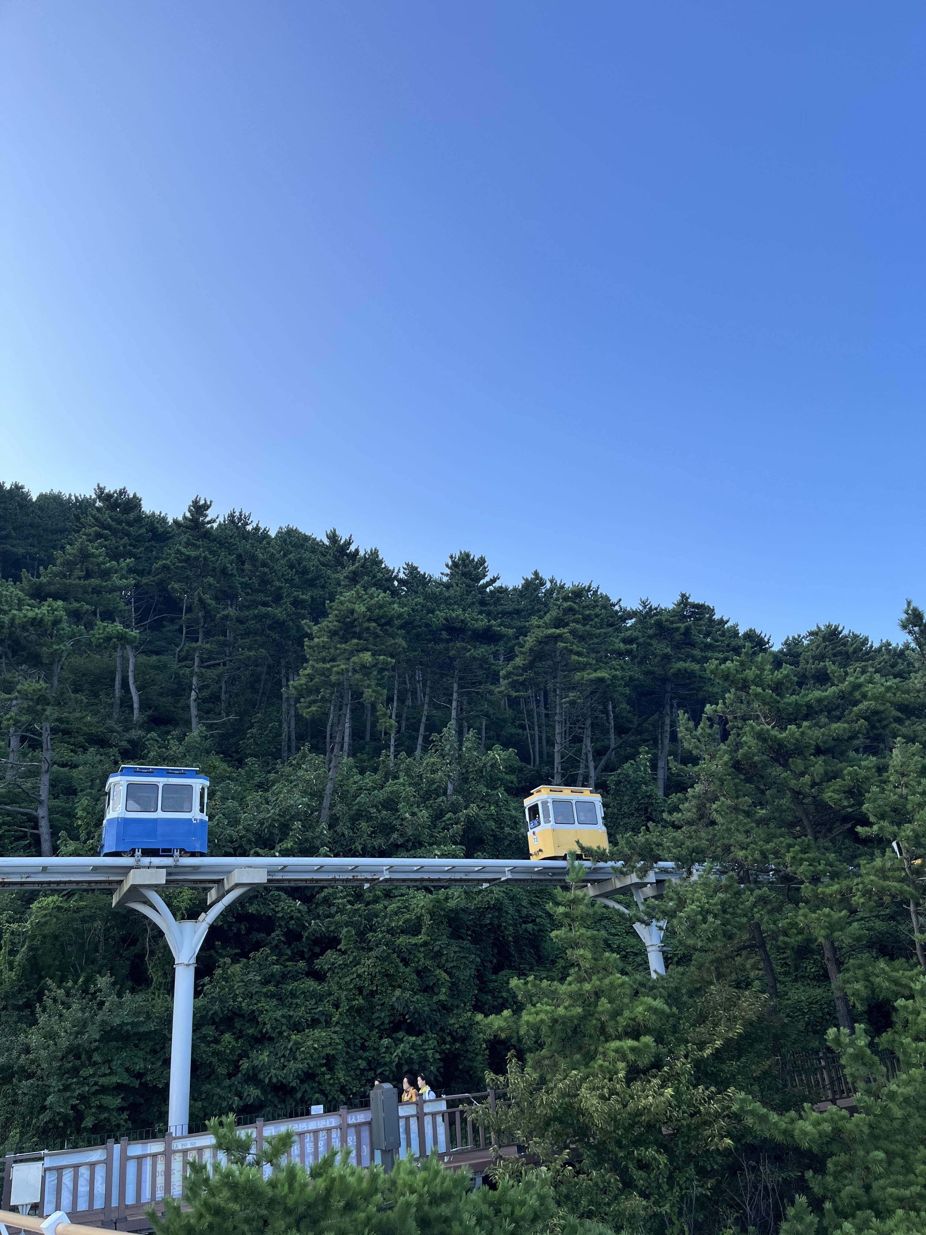 “장오월아웃트로2”