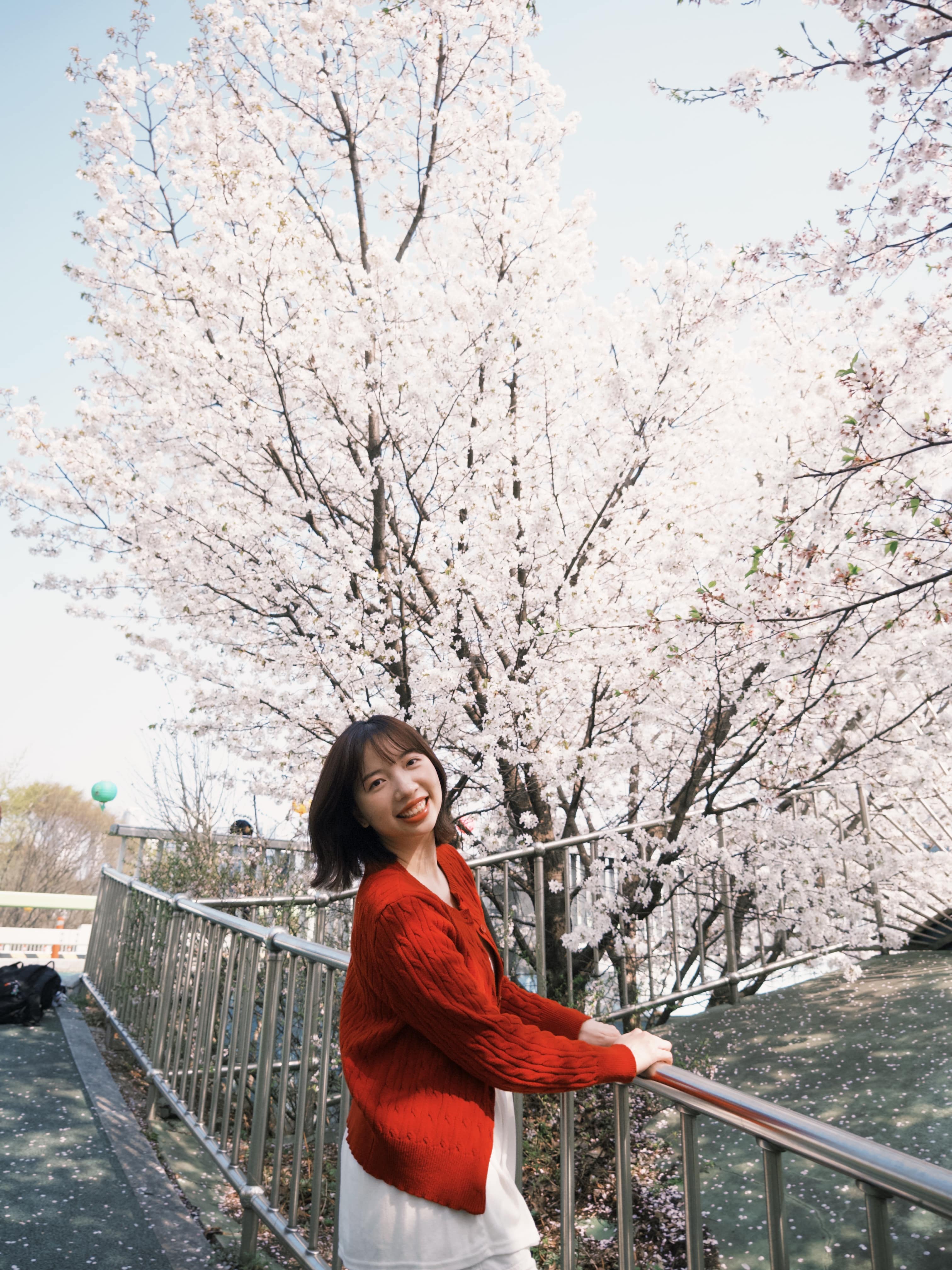 “유미코인트로”