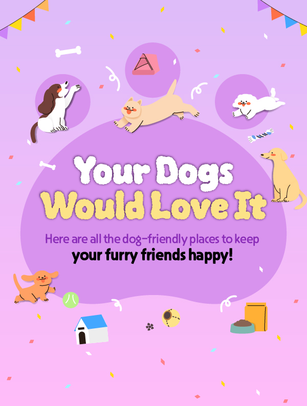 Your Dogs Would Love It