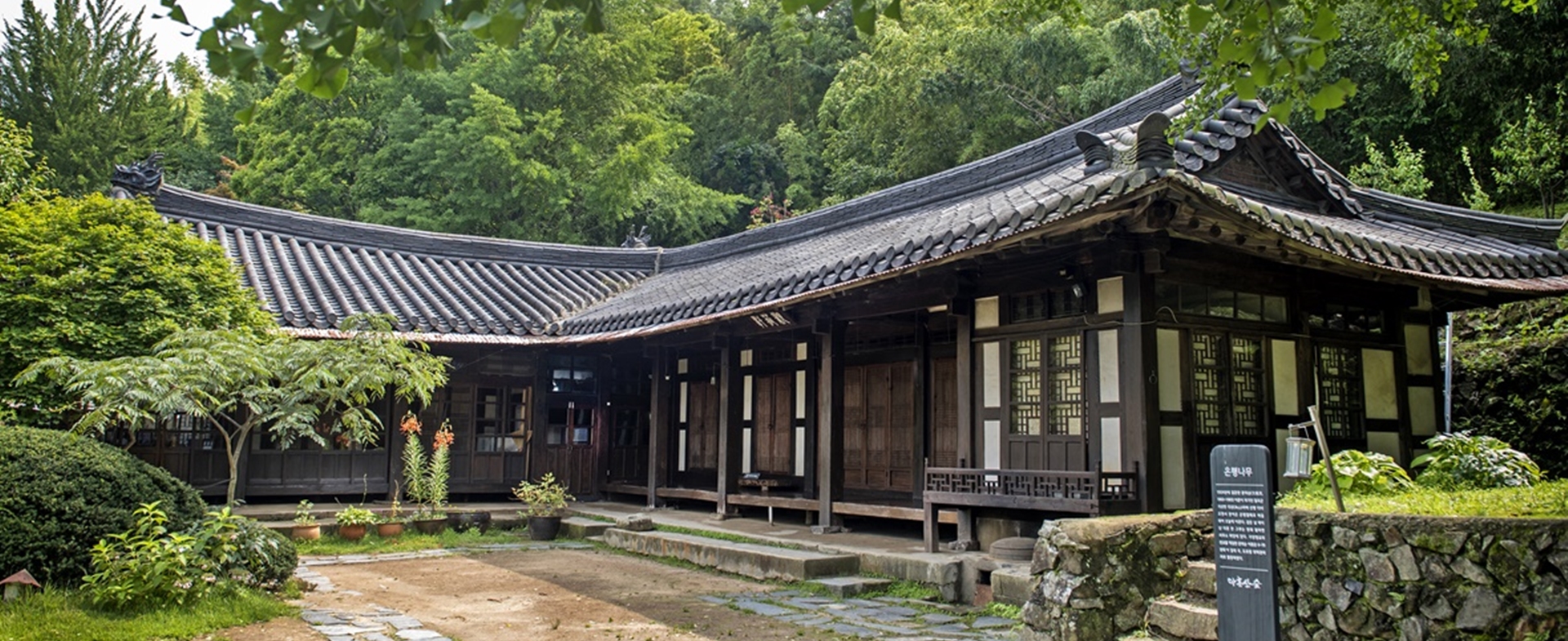 通过三天两夜康养之旅得到休息和恢复
