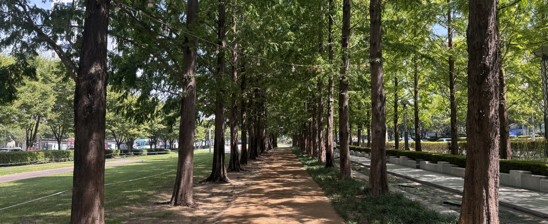 釜山鎮区で暮らすように旅する
