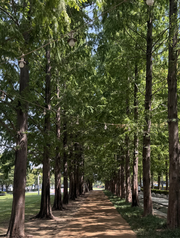 釜山鎮区で暮らすように旅する