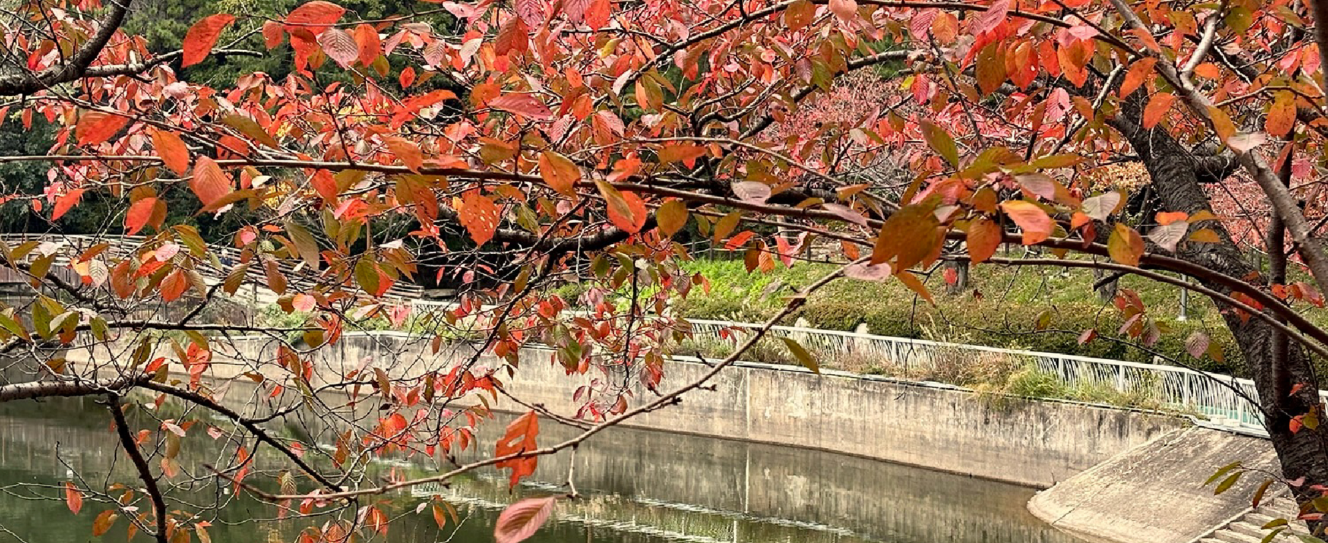 A 2-Day Busan Getaway Following the Colors of Autumn